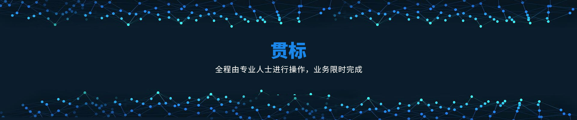 贯标