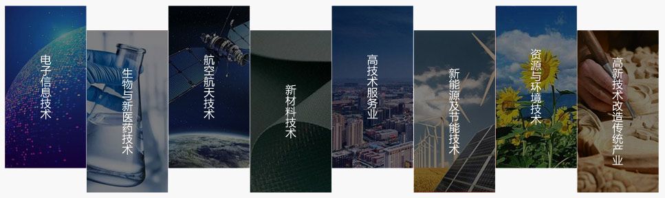 专精特新申报领域